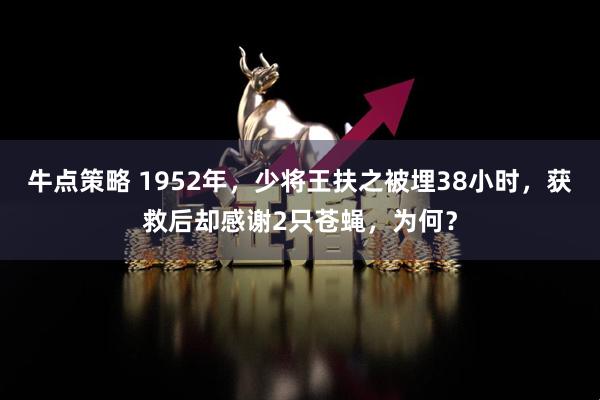 牛点策略 1952年，少将王扶之被埋38小时，获救后却感谢2只苍蝇，为何？